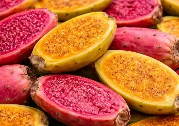 Colorful prickly pear fruit slices